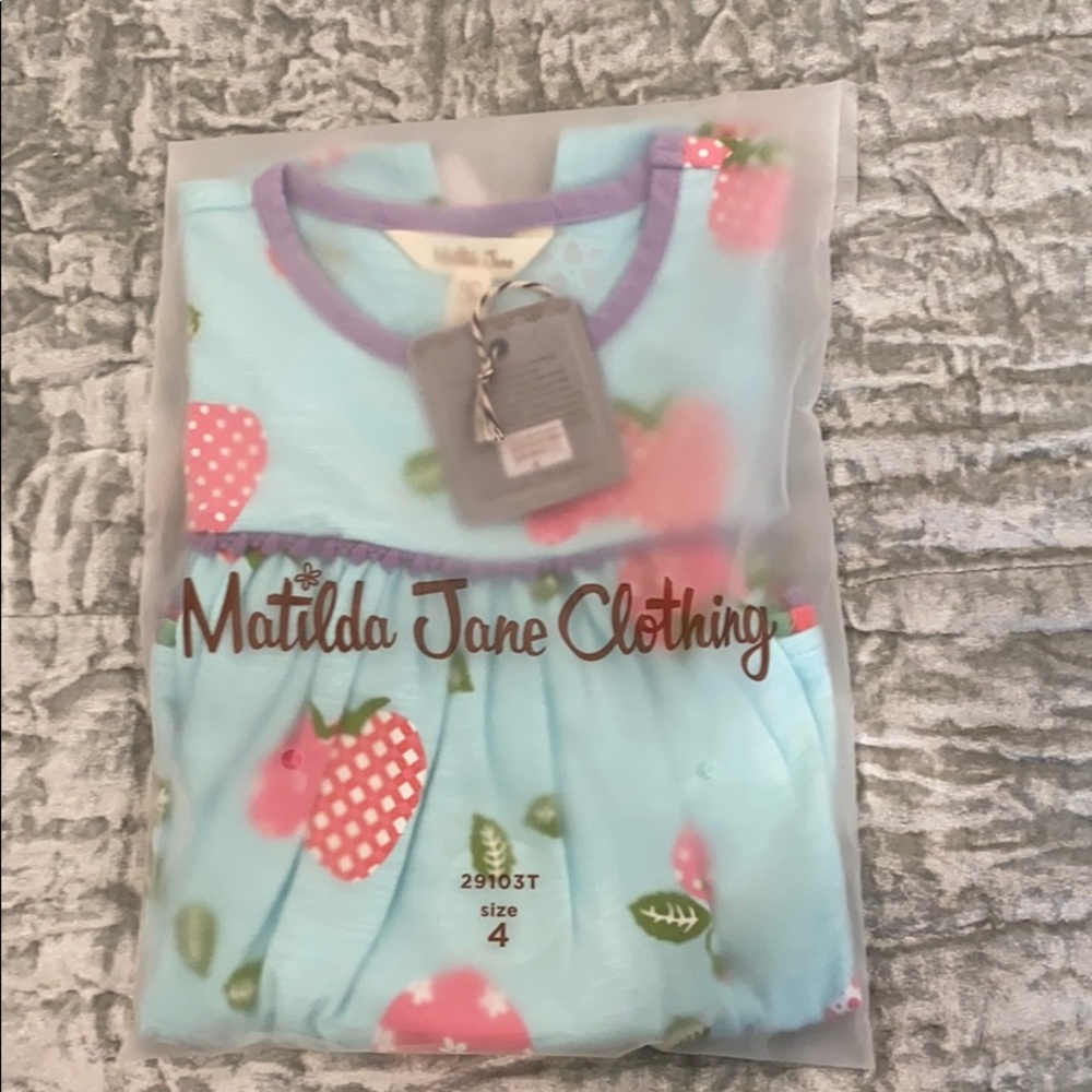 NWT The Last Strawberry Top